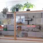 Lännen kyläyhdistys